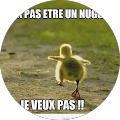 #